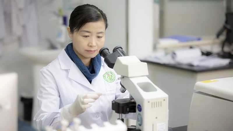 走进大兴的军大人015号夏爱军凤尾的跨界逆袭